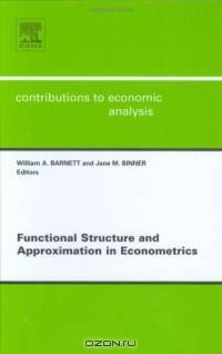 Functional Structure and Approximation in Econometrics, Volume 261 (Contributions to Economic Analysis)