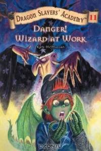 Danger! Wizards at Work (Dragon Slayers