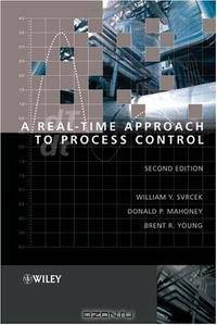 A Real-Time Approach to Process Control