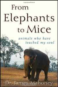 From Elephants to Mice: Animals Who Have Touched My Soul
