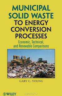 Municipal Solid Waste to Energy Conversion Processes: Economic, Technical, and Renewable Comparisons