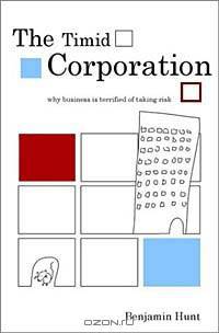 The Timid Corporation : Why Business is Terrified of Taking Risk