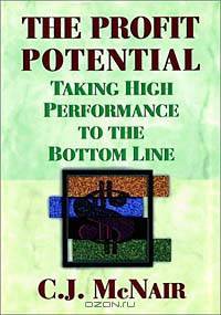 The Profit Potential : Taking High Performance to the Bottom Line