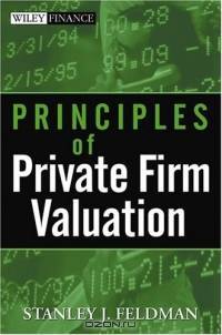 Principles of Private Firm Valuation (Wiley Finance)