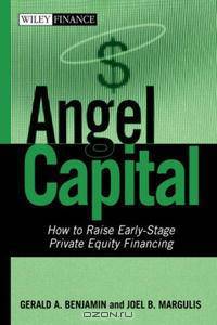 Angel Capital: How to Raise Early-Stage Private Equity Financing (Wiley Finance)