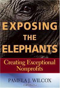 Exposing the Elephants: Creating Exceptional Nonprofits