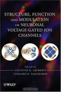 Structure, Function and Modulation of Neuronal Voltage-Gated Ion Channels