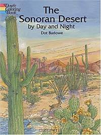 The Sonoran Desert by Day and Night (Dover Pictorial Archives)