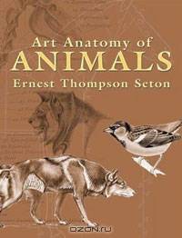 Art Anatomy of Animals