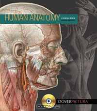 Human Anatomy (Dover Pictura)