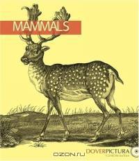 Mammals (Dover Pictura)