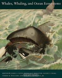 Whales, Whaling, and Ocean Ecosystems