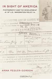 In Sight of America: Photography and the Development of U.S. Immigration Policy (American Crossroads)