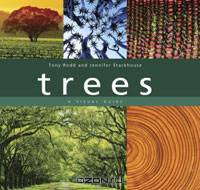 Trees: A Visual Guide