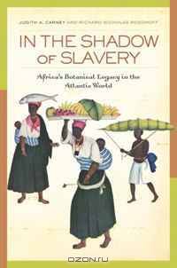 In the Shadow of Slavery: Africa
