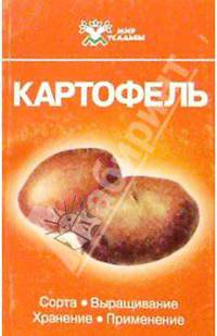 Картофель