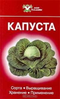 Капуста