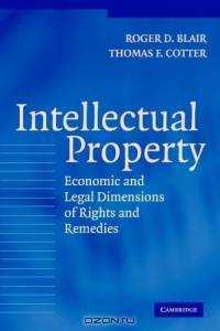 Intellectual Property : Economic and Legal Dimensions of Rights and Remedies