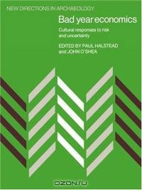 Bad Year Economics : Cultural Responses to Risk and Uncertainty (New Directions in Archaeology)