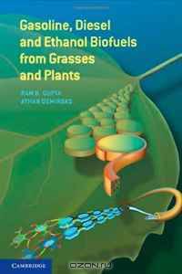 Gasoline, Diesel and Ethanol Biofuels from Grasses and Plants