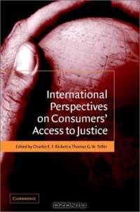 International Perspectives on Consumers
