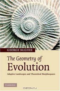 The Geometry of Evolution: Adaptive Landscapes and Theoretical Morphospaces