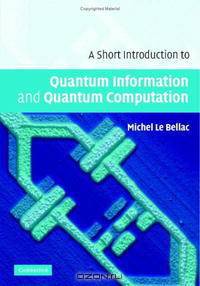 A Short Introduction to Quantum Information and Quantum Computation