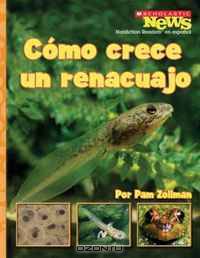 Como Crece un Renacuajo/ A Tadpole Grows Up (Scholastic News Nonfiction Readers En Espanol)
