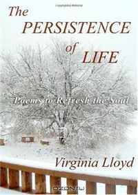 The Persistence of Life