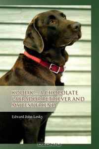 Kodiak . . . A Chocolate Labrador Retriever and my best friend