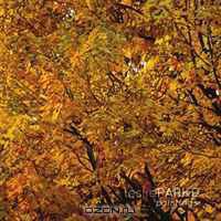 Leslie Parke Paintings