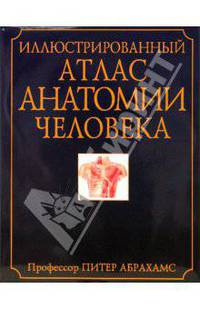 Иллюстрированный атлас анатомии человека. Полное описание жизнедеятельности тела человека