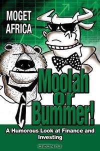 Moolah or Bummer! : A Humorous Look at Finance and Investing