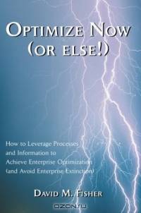 Optimize Now (or else!) : How to Leverage Processes and Information to Achieve Enterprise Optimization (and Avoid Enterprise Extinction)