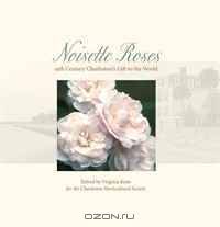 Noisette Roses: Nineteenth-Century Charleston