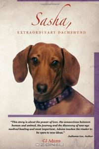 Sasha, Extraordinary Dachshund