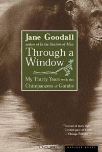 Through a Window