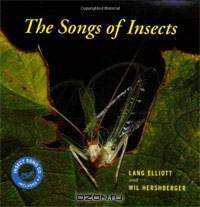The Songs of Insects