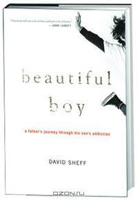 Beautiful Boy: A Father