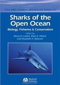 Sharks of the Open Ocean