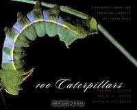 100 Caterpillars: Portraits from the Tropical Forests of Costa Rica
