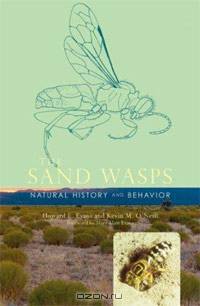 The Sand Wasps: Natural History and Behavior