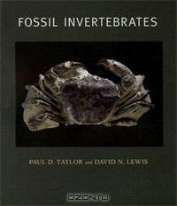Fossil Invertebrates