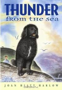 Thunder from the Sea