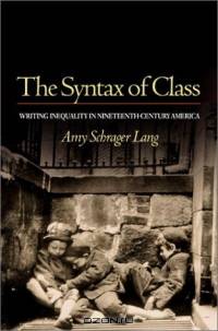The Syntax of Class : Writing Inequality in Nineteenth-Century America