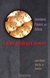 How China Grows: Investment, Finance, and Reform