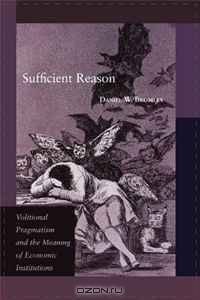 Sufficient Reason: Volitional Pragmatism and the Meaning of Economic Institutions