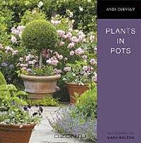 Plants in Pots