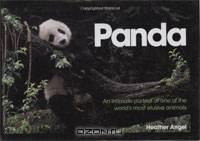 Panda: An Intimate Portrait Of One Of The World