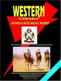 Western Sahara Business Intelligence Report
